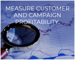 Measure Customer and Campaign Profitability